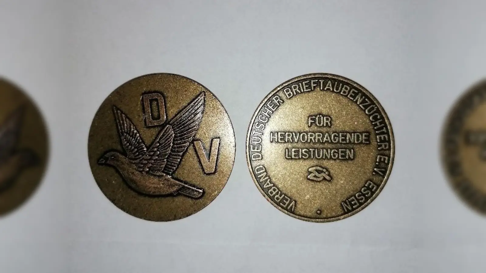Bronze Medaille des Verbandes Deutscher Brieftaubenzüchter Gewinner: Werner Troidl. (Bild: Walter Schlenk)