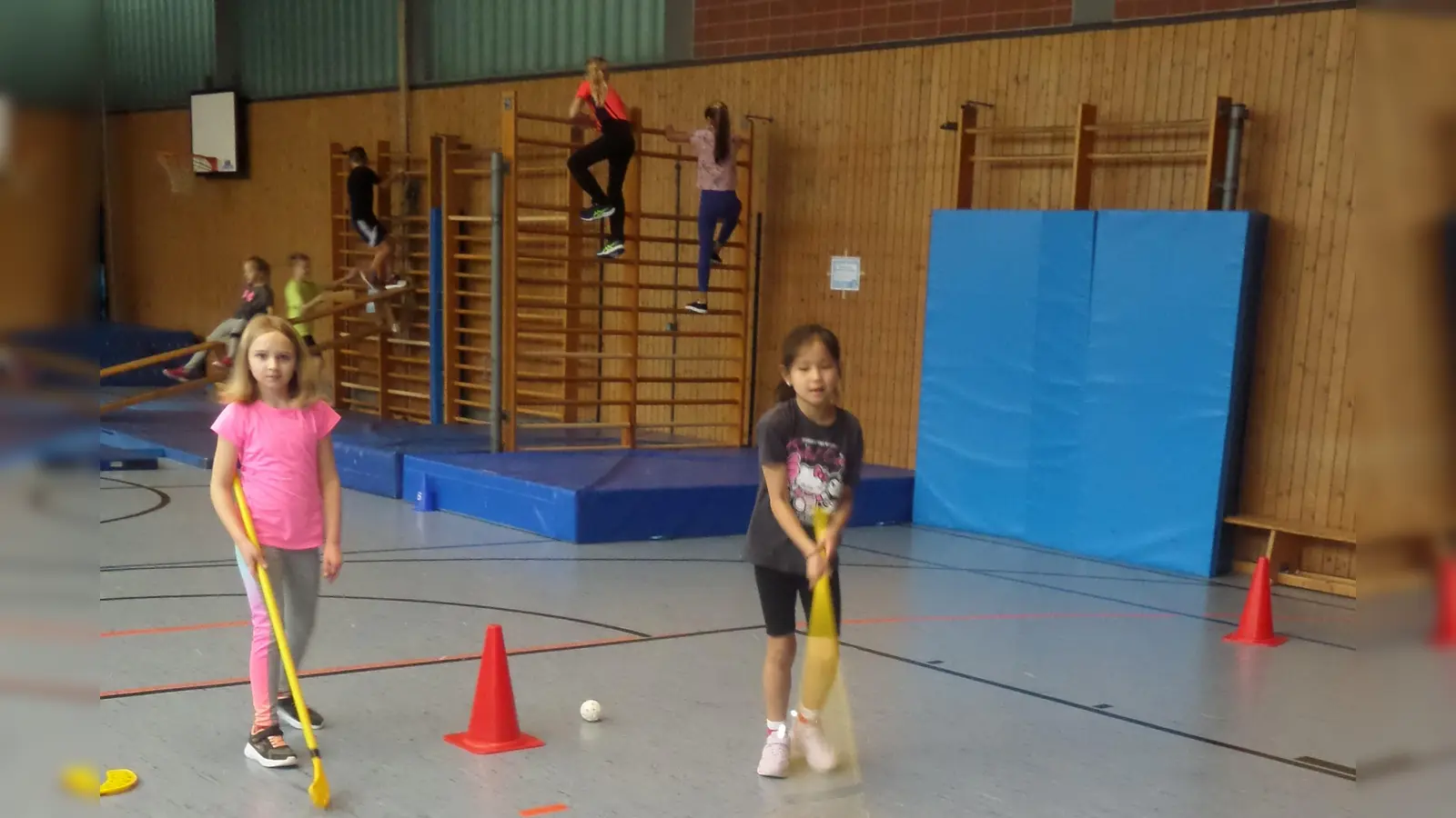Verschiedene Bewegungsstationen reizten in der Turnhalle zum Mitmachen (Bild: Judith Köhler)