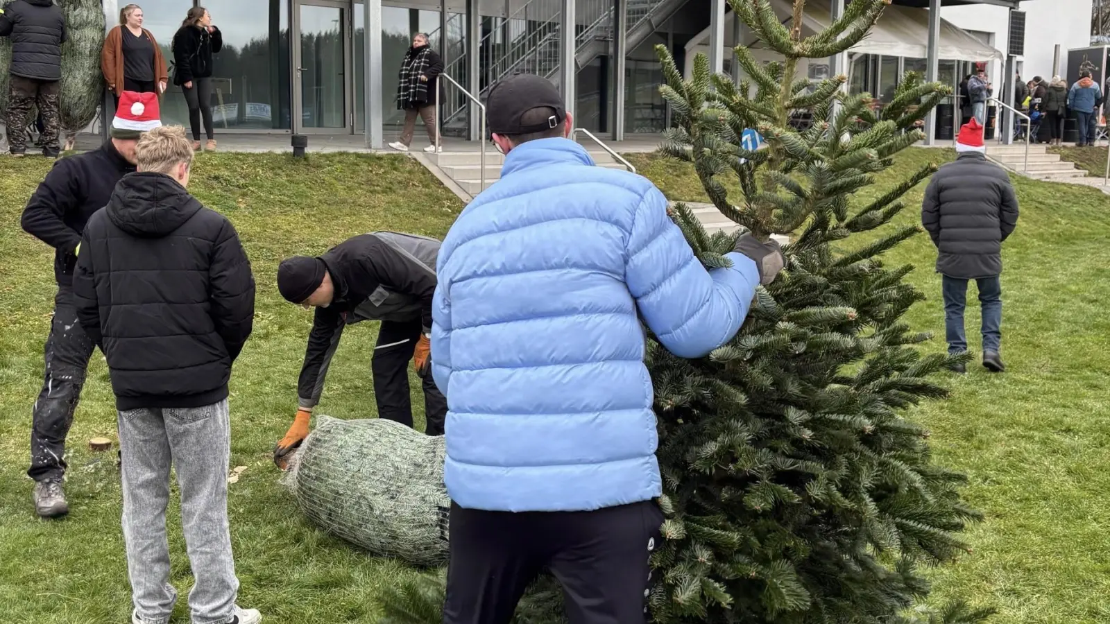 Teamarbeit beim Christbaumverkauf. (Bild: Josef Schiesl)