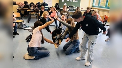 Kiki bewältigt den menschlichen Parcours. (Bild: Cristhina Sedlacek)