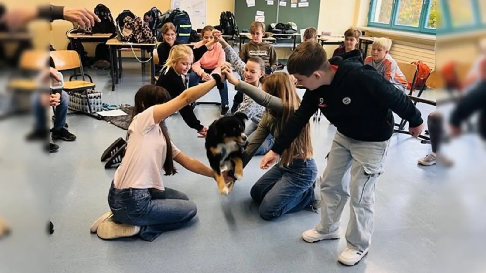 Kiki bewältigt den menschlichen Parcours. (Bild: Cristhina Sedlacek)