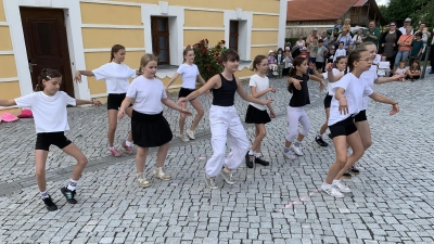 Viel Beifall erheilten die Kids der Tanzgruppe Dancing Diamonds- (Bild: Johann Adam)