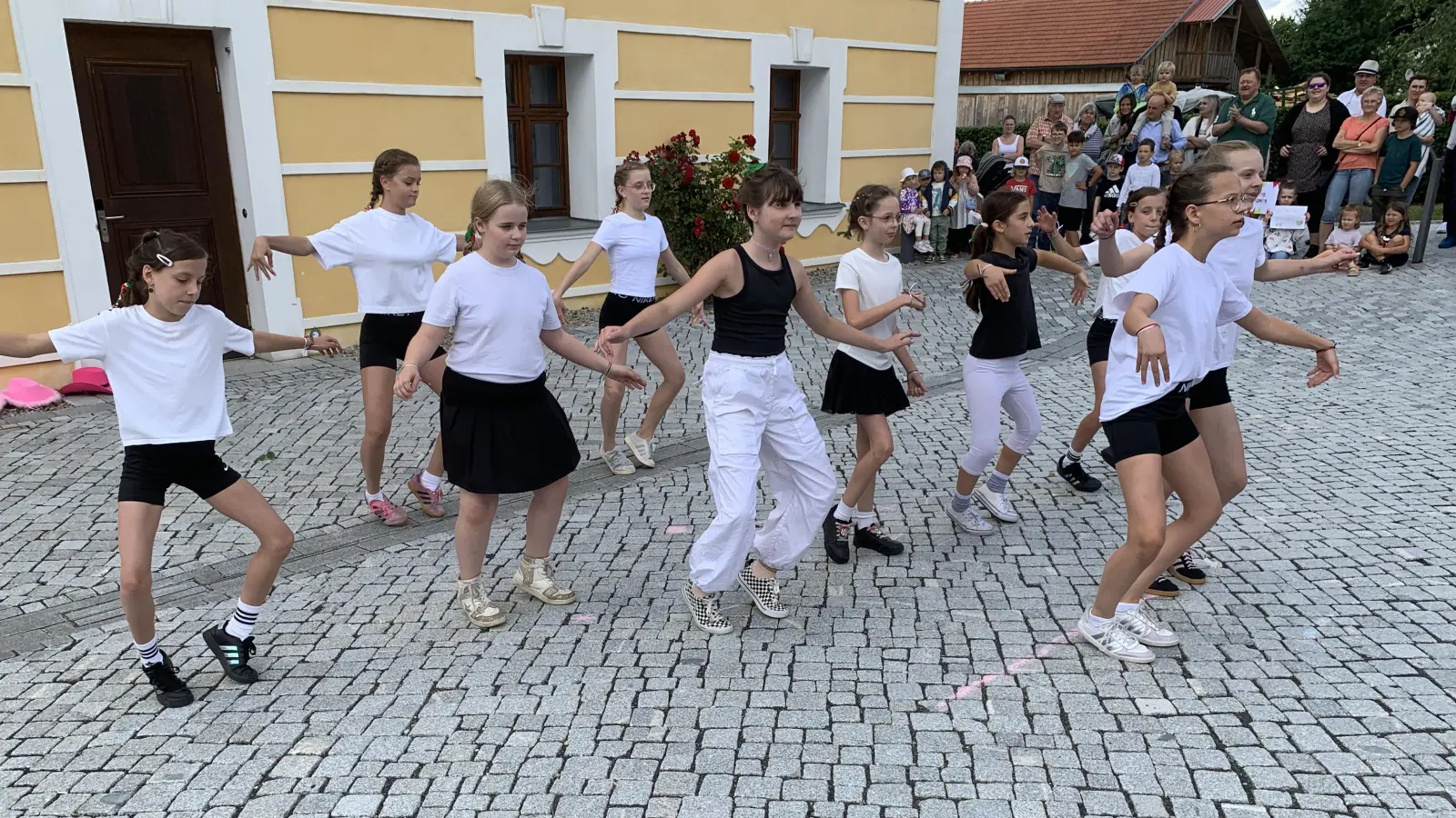 Viel Beifall erheilten die Kids der Tanzgruppe Dancing Diamonds- (Bild: Johann Adam)