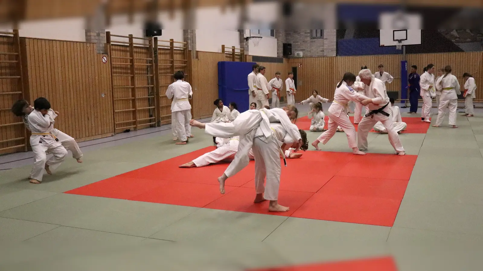 Action auf der Matte gibt es beim Judo-Probetraining am 10. September. (Bild: Susanne Schubert)