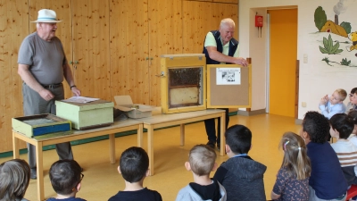 Hans Fritzsche und Konrad Meyer mit tausend Bienen aus ihrem Bienenstamm. (Bild: Simone Heidl)