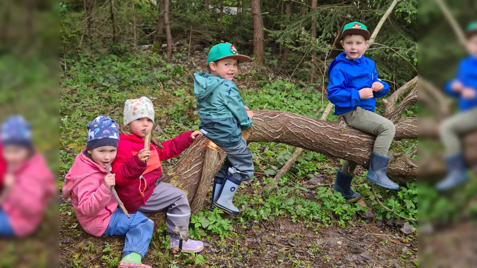 Die Waldtage des Pressather Kindergartens auf der Dreisteinhütte waren für die Kinder eine willkommene Abwechslung im Kindergartenalltag und brachten viele neue Eindrücke (Bild: xs)