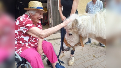 Seniorenausflug zum Westernreit- und Therapiezentrum Ostbayern. (Bild: Adriana Vargova)