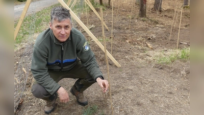 Martin Gottsche wird sich künftig nur noch um die Flora der Eschenbacher Waldflächen kümmern.  (Bild: Walther Hermann)
