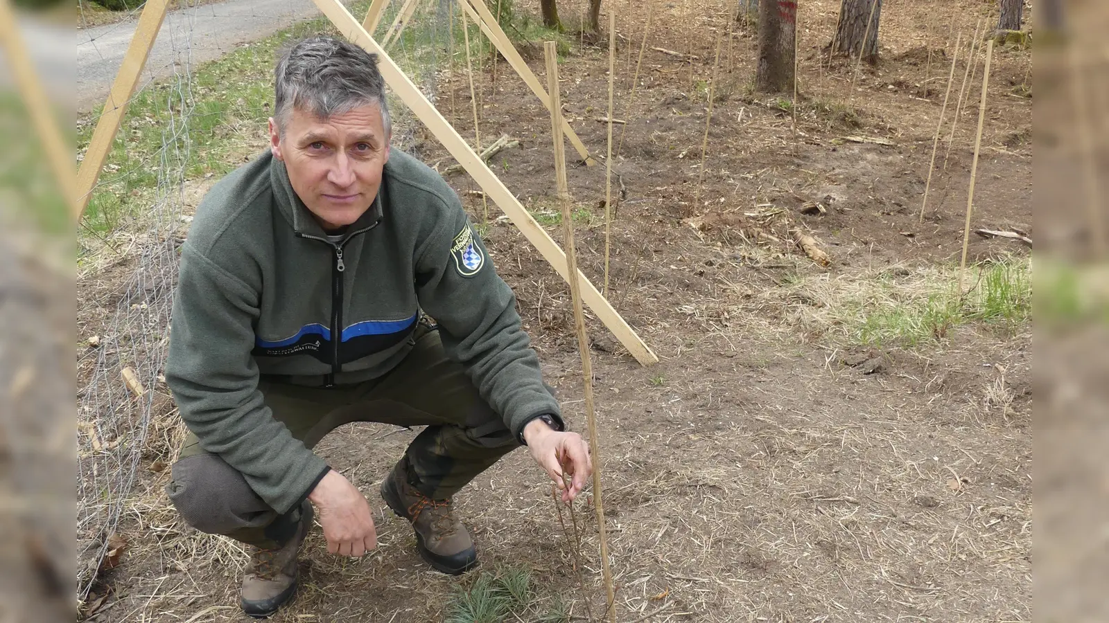 Martin Gottsche wird sich künftig nur noch um die Flora der Eschenbacher Waldflächen kümmern.  (Bild: Walther Hermann)