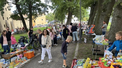 Handeln, Kaufen und Verkaufen war beim „Flohmarkt für kleine Leute“ der Frauenunion im Stadtpark angesagt.  (Bild: Gerald Morgenstern)