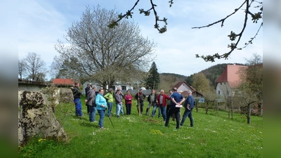 Baumschneidekurs 2023. (Bild: Verena Frauenknecht)