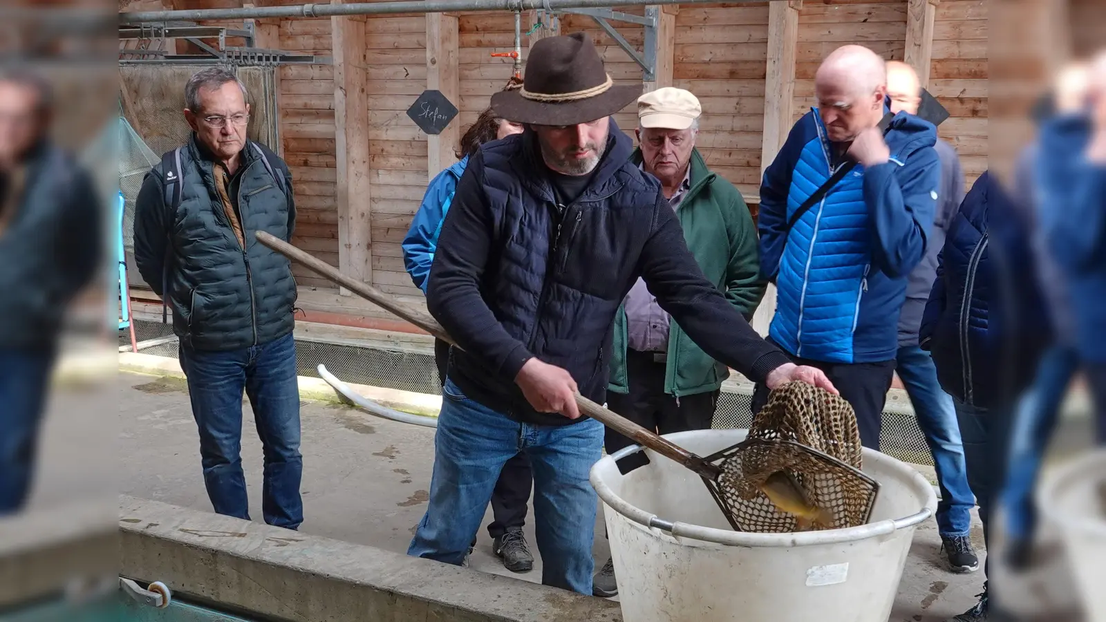 Wolfgang Veigl beim Sortieren der Karpfen (Bild: Wolfgang Schödel)