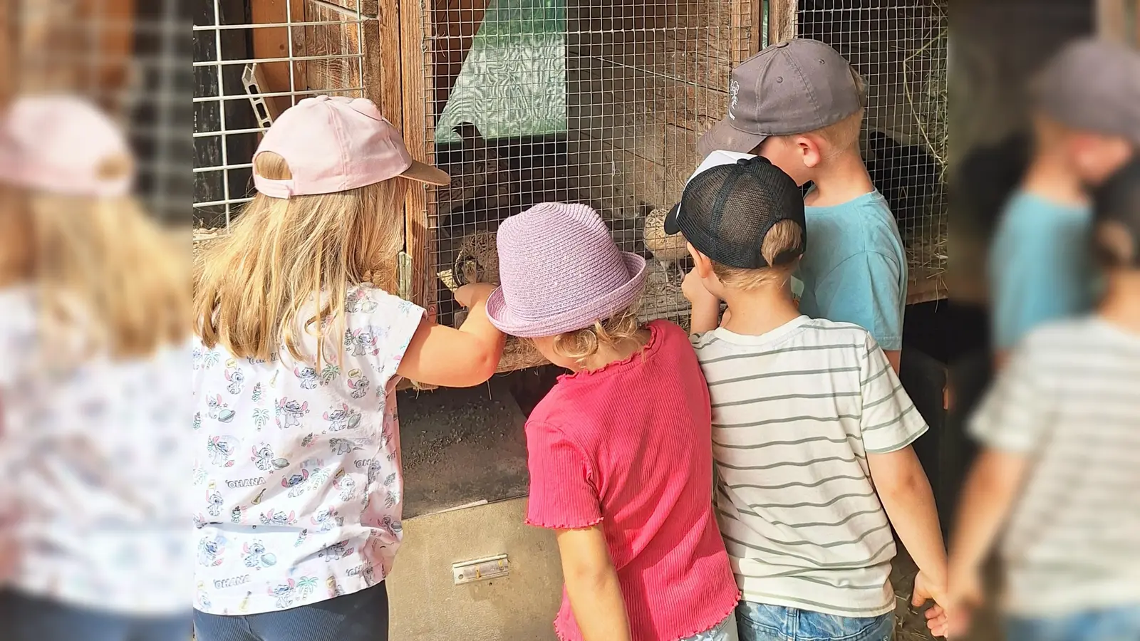 Es gab viel zu streicheln, Wachteln, Hasen, Katzen (Bild: Krauthahn Barbara)