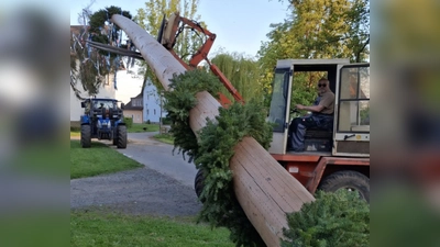 Gemeinsam mit Jakob Beutner und Reinhold Drechsler manövrierten sie den 32 Meter hohen Baum mithilfe von Traktoren und einem Heberoller präzise in die vorbereitete Vorrichtung.<br> (Bild: Martin Beutner)