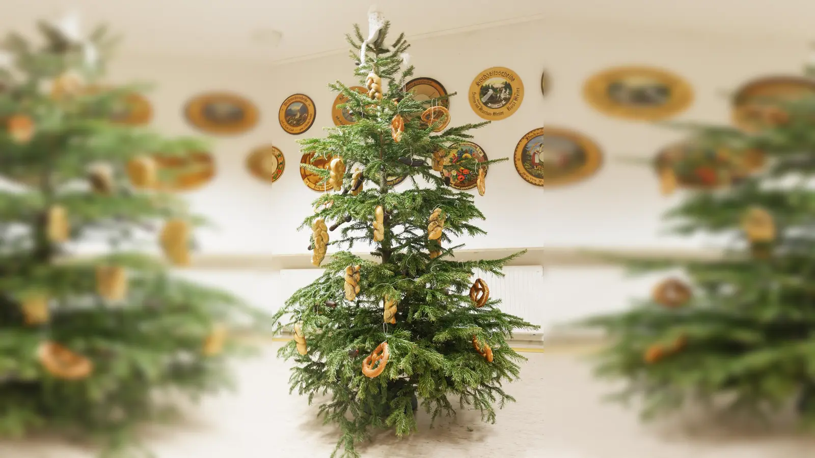 Auch in diesem Jahr wird er wieder einer der „schönsten” Christbäume sein und mit allerlei herzhaftem geschmückt werden. (Bild: Tobias Becht)