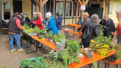 Gartenfreunde hatten bei der Pflanzentausch-Börse der Siedlervereinigung Friedenfels erneut eine große Auswahl. Für die Durchführung bekam Vorsitzender Michael Merkl und sein Helferteam viel Anerkennung. (Bild: Bernhard Schultes)