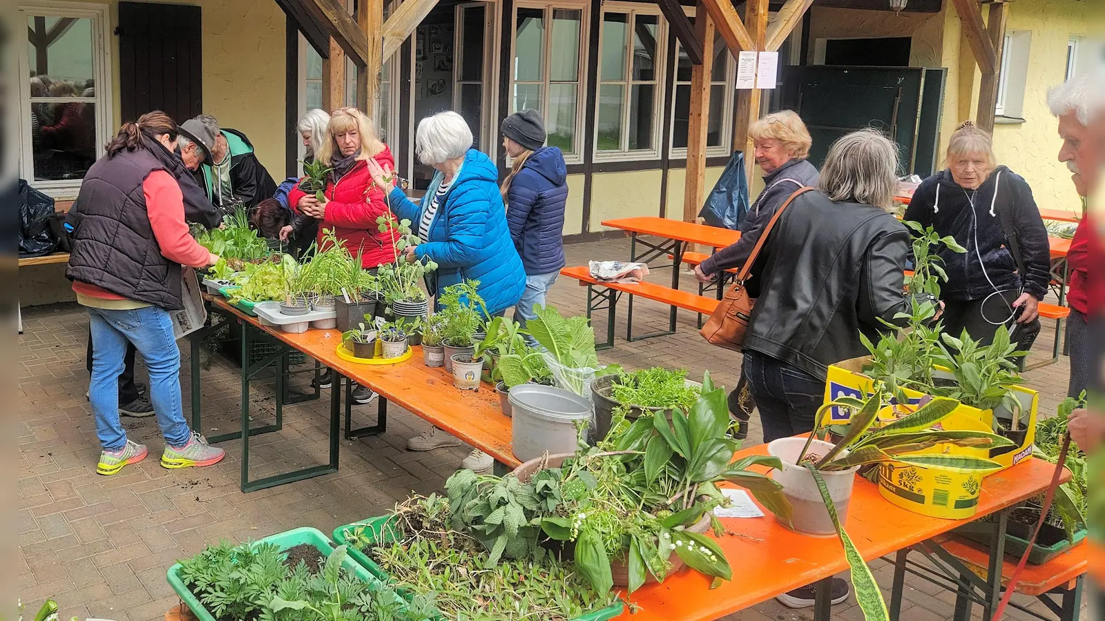 Gartenfreunde hatten bei der Pflanzentausch-Börse der Siedlervereinigung Friedenfels erneut eine große Auswahl. Für die Durchführung bekam Vorsitzender Michael Merkl und sein Helferteam viel Anerkennung. (Bild: Bernhard Schultes)