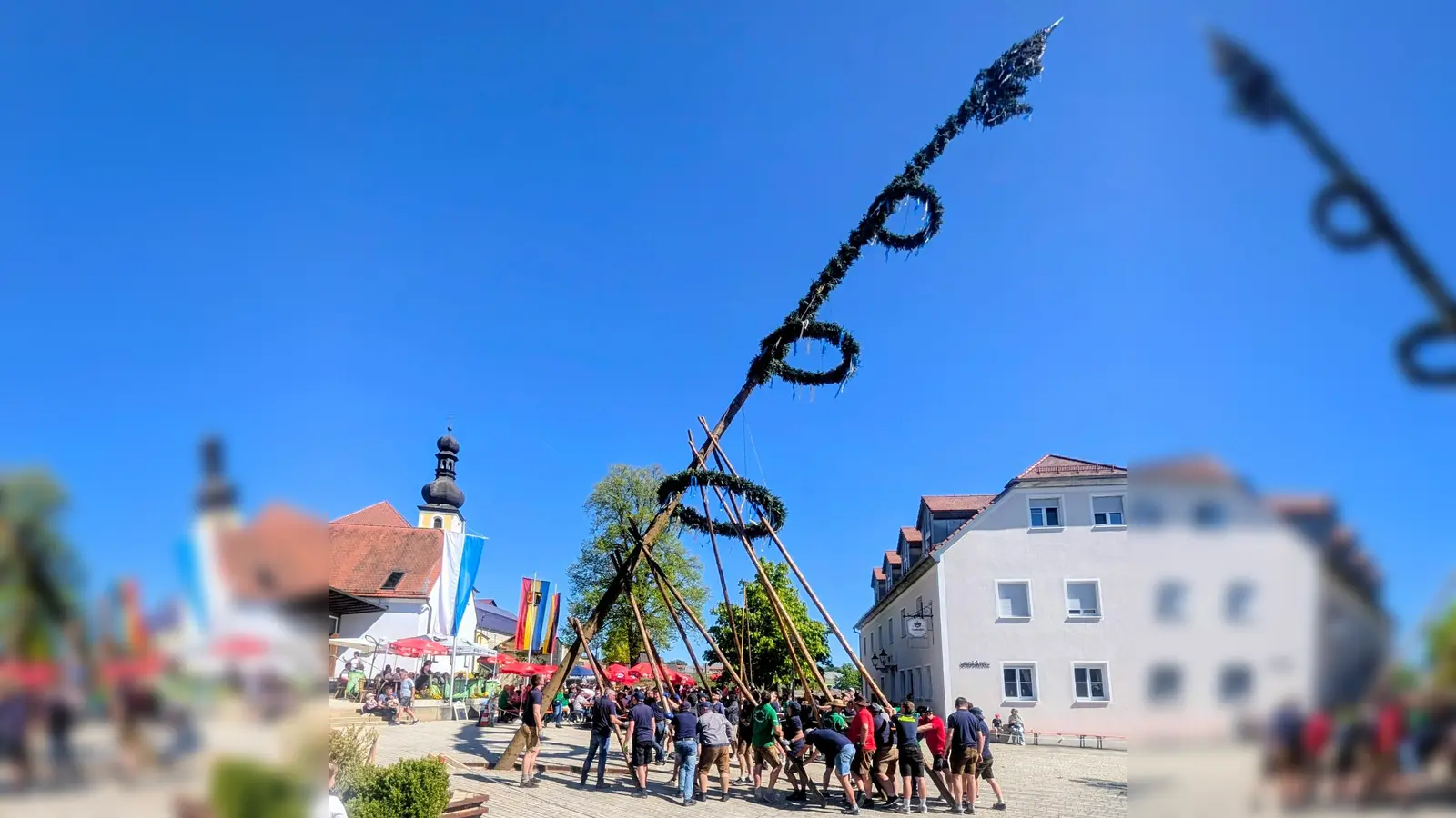 Viele Helfer stemmten per Muskelkraft den 26 Meter langen Maibaum in die Senkrechte. (Bild: Christiane Wagner)
