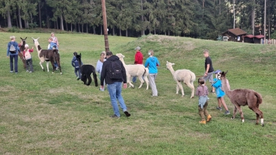 Lamawanderung im Rahmen des Ferienprogramms der Stadt Waldsassen (Bild: Werner Hahn)