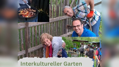 Interkultureller Garten  (Bild: Astrid Knab)
