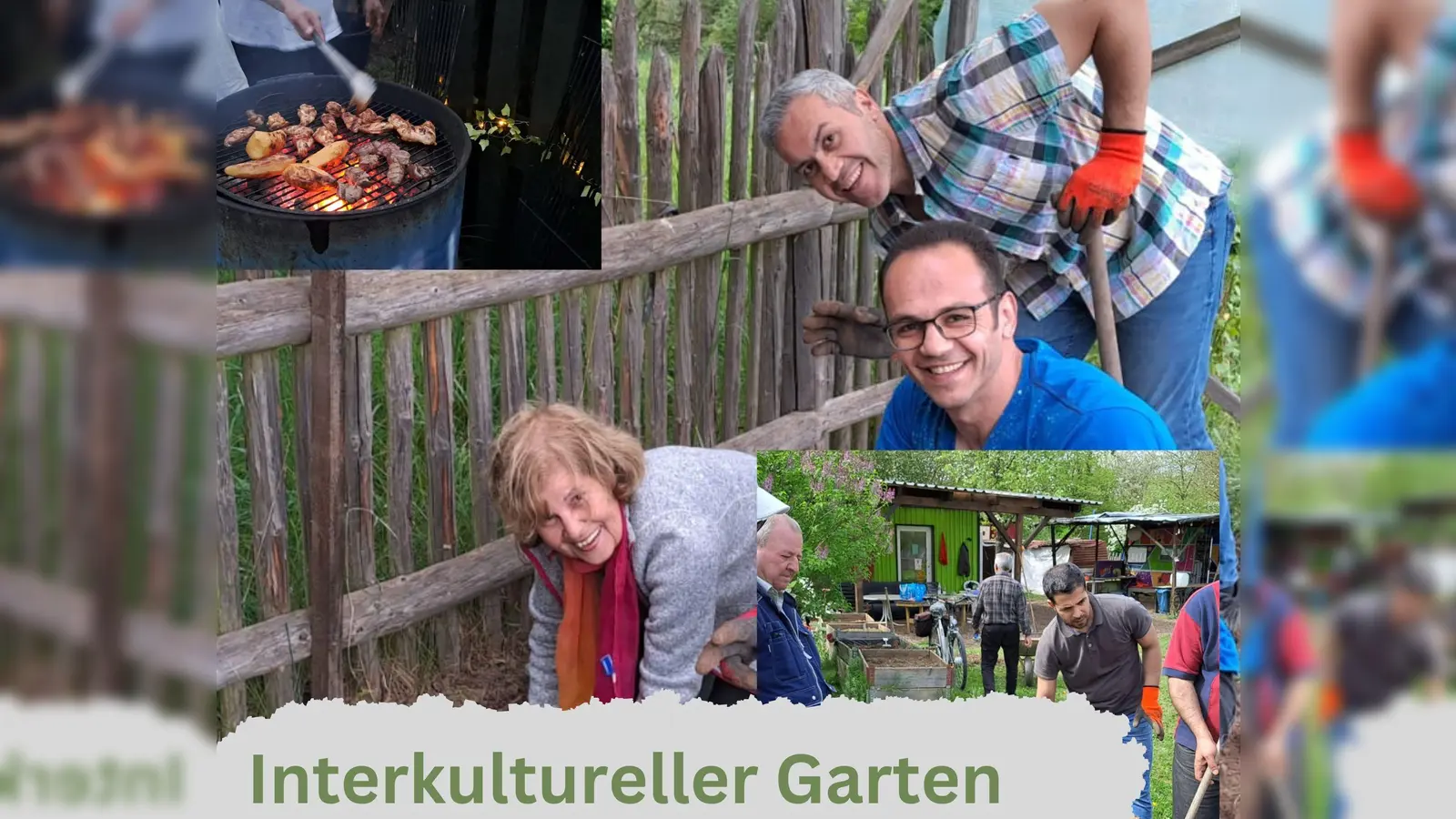 Interkultureller Garten  (Bild: Astrid Knab)