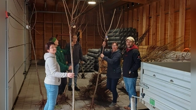 Übergabe der Streuobstbäume an die Bürgerinnen und Bürger (Bild: Anna Balk)