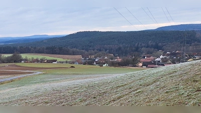 Für das Jahr 2025 könnte eine gemeinsame Revierbegehung vom Forstamt angeboten werden (Bild: Rudi Gruber)