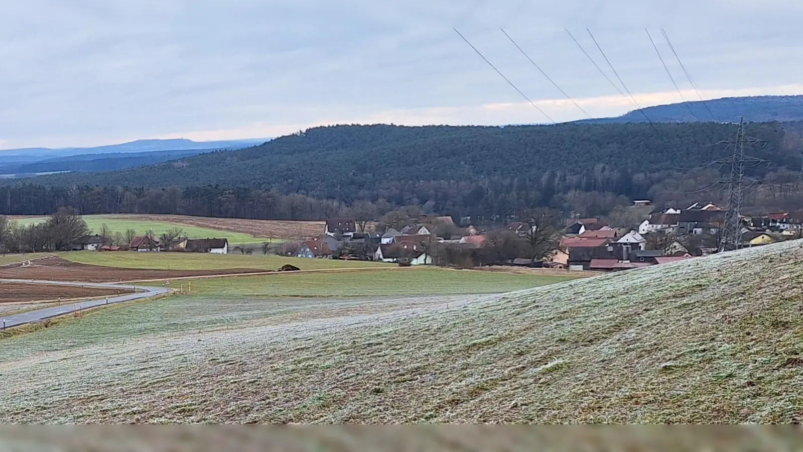Für das Jahr 2025 könnte eine gemeinsame Revierbegehung vom Forstamt angeboten werden (Bild: Rudi Gruber)