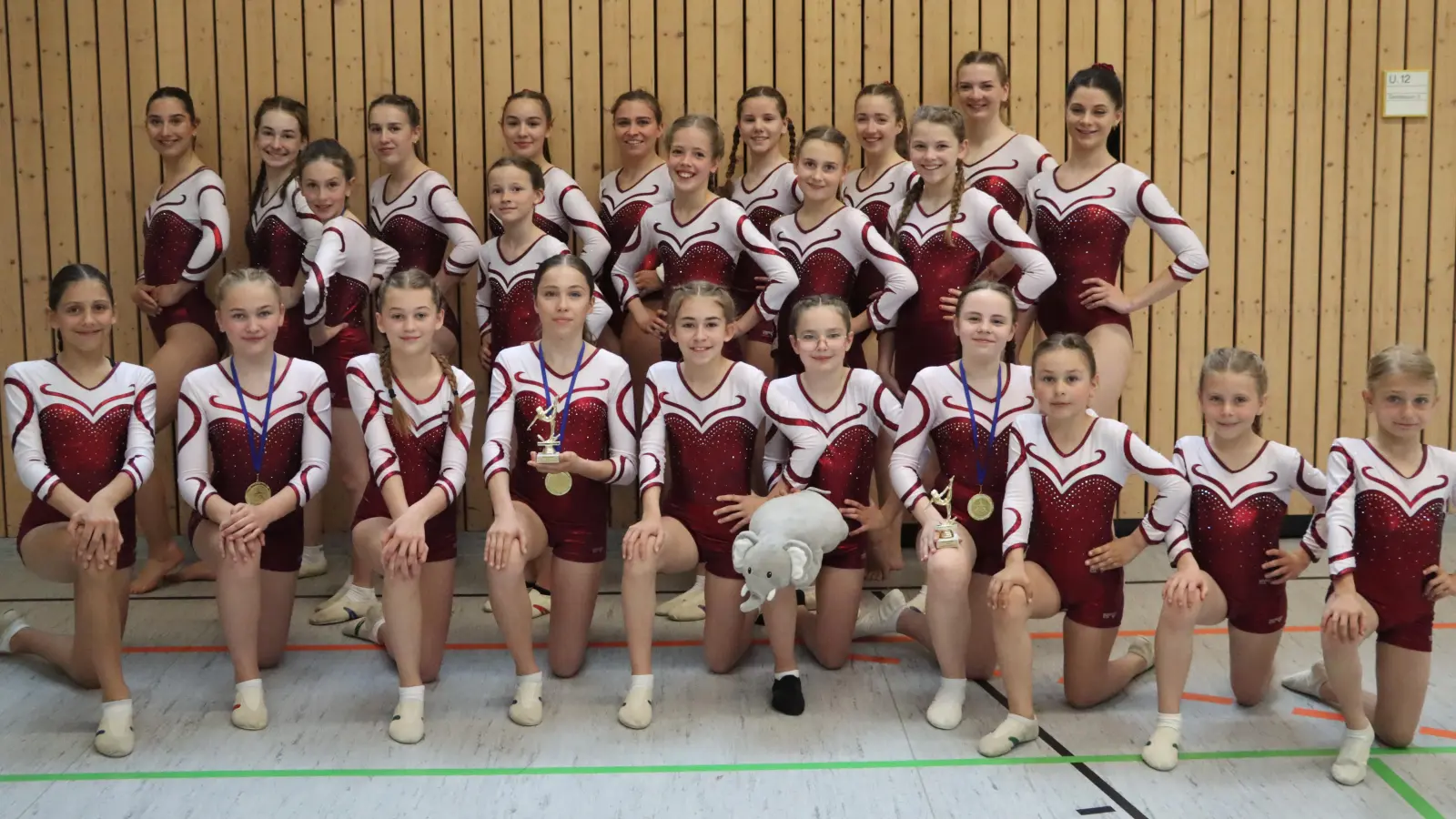 Die Turnerinnen der TG Tirschenreuth erreichten beim Top Ten Gerätefinale in Amberg Top-Platzierungen und damit im Vereinsranking Platz 1 im Turngau Oberpfalz-Nord. (Bild: Julia Ritter)