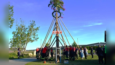 Die Feuerwehrler aus Wölsendorf und Stulln beim Aufstellen des Freundschaftsbaumes. (Bild: Julia Peltzer)