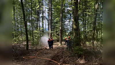 Einsatzübung - B2 Wald (Bild: Johanna Kellner)