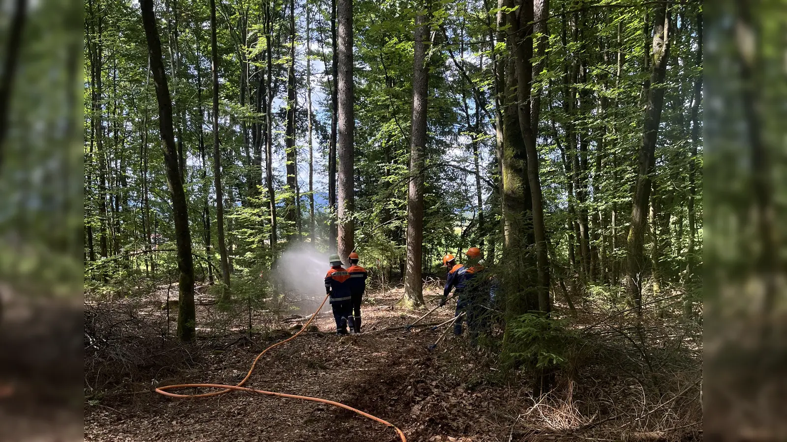 Einsatzübung - B2 Wald (Bild: Johanna Kellner)