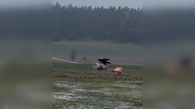 Hexe kehrt den Schnee. (Bild: Ernst Herbst)