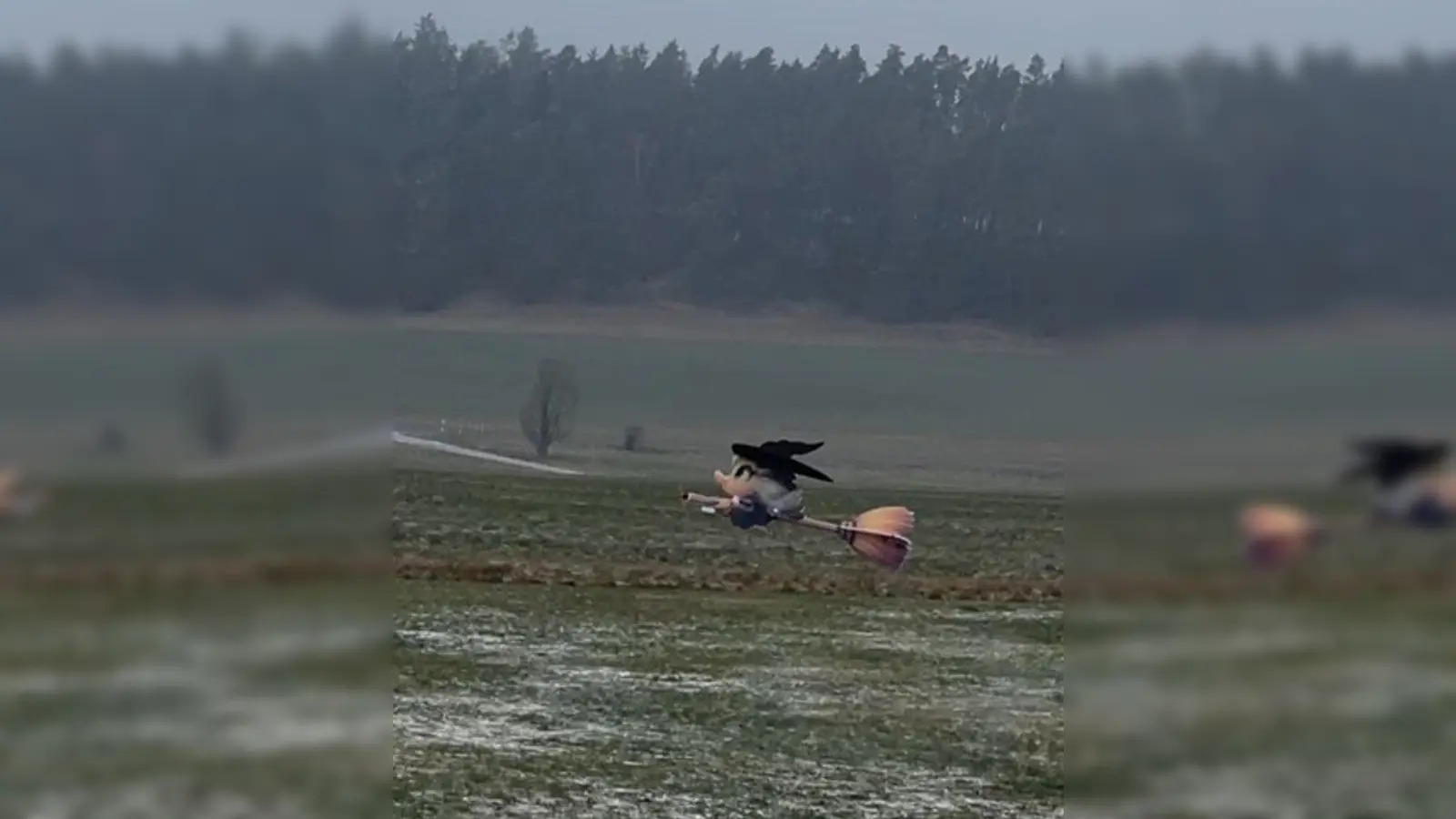 Hexe kehrt den Schnee. (Bild: Ernst Herbst)