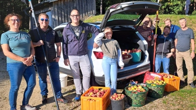 Viele fleißige Helfer sammelten auf der Apfelplantage von Alfons Graf Äpfel für den Apfelsaft für die Weihnachtsmärkte in der Gemeinde. (Bild: Waltraud Lobenhofer)