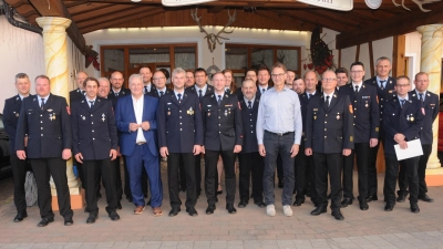 Die geehrten Wehrmänner der Gemeinde Freudenberg mit Landrat, Bürgermeister und den Feuerwehr-Führungskräften. (Bild: Joachim Gebhardt)