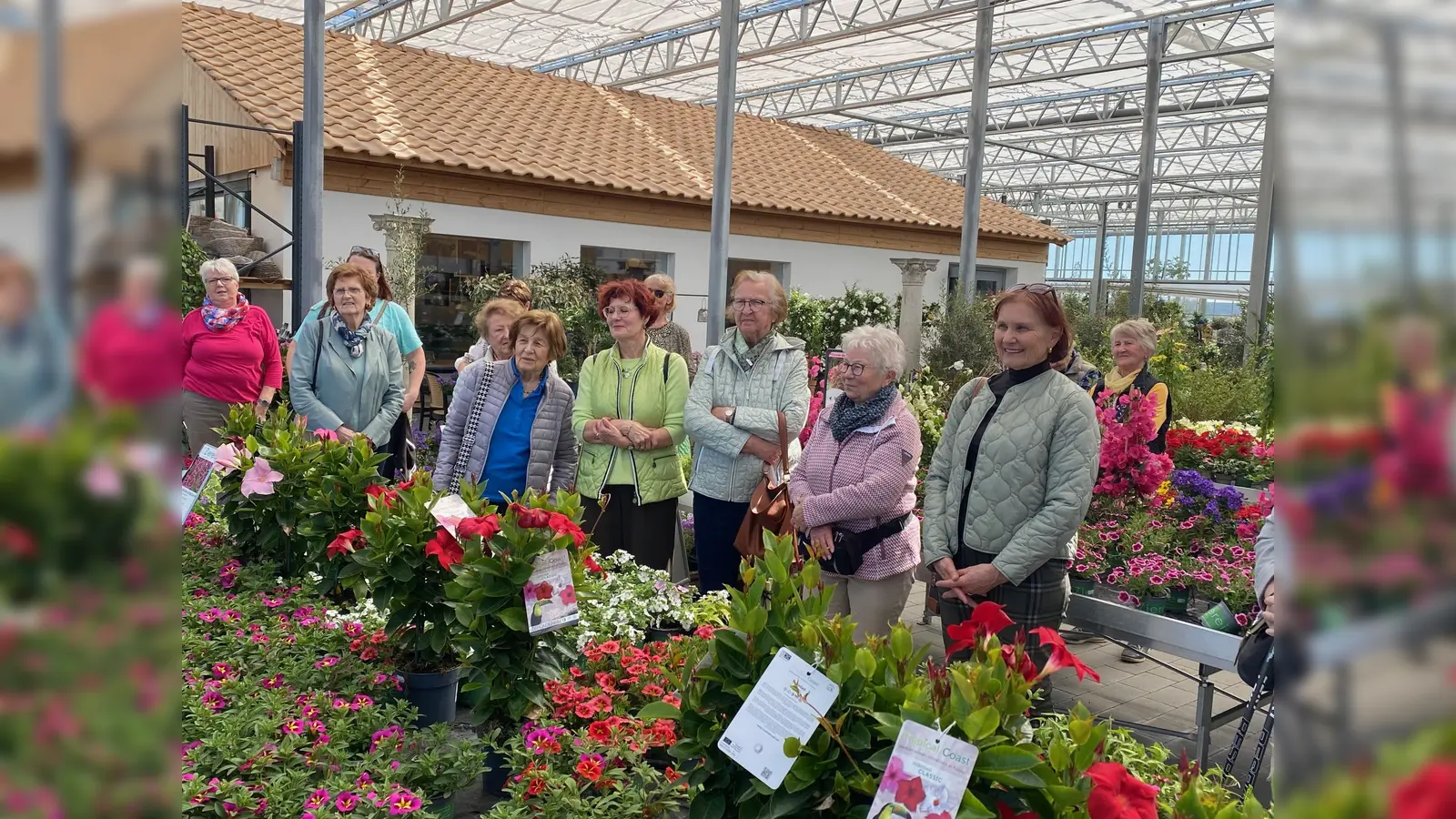 Frauen des KDFB Schwarzenfeld bei einer Führung durch die Gärtnerei Ziereis (Bild: Angela Dausch)