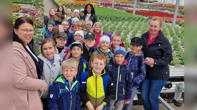 Besuch der Gärtnerei Steinhilber in Neustadt (Archivbild: Diana Dippel/Corinna Schmeller)
