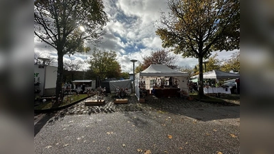 Stände auf dem Erntedankmarkt 2025 vor der Neustädter Stadthalle bei bestem Herbstwetter. (Bild: Ramona Herrmann)