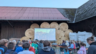 Spannender Filmabend im Freien: Das Kinderferienprogramm lockte zahlreiche Kinder zum Freiluftkino auf dem Bauernhof. (Bild: Christian Stahl)
