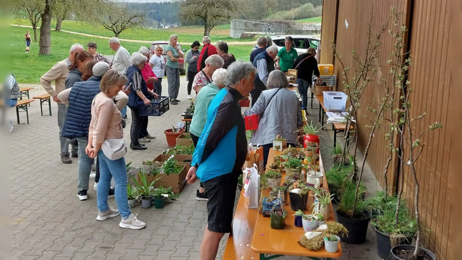 Viele interessierte Hobbygärtner kamen zum Austausch und Fachsimpeln bei der ersten Pflanzenbörse des OGV Sigl. (Bild: Armin Heuberger )