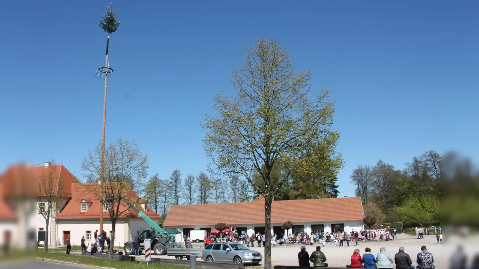 Die letzten Bolzen sind sturmfest mit der Halterung verschraubt, der 30-Meter-Stamm ragt kerzengerade gen Himmel: Den Trabitzer „Sägeplatz” krönt heuer wieder einer von acht Maibäumen der Gemeinde. (Bild: Bernhard Piegsa)