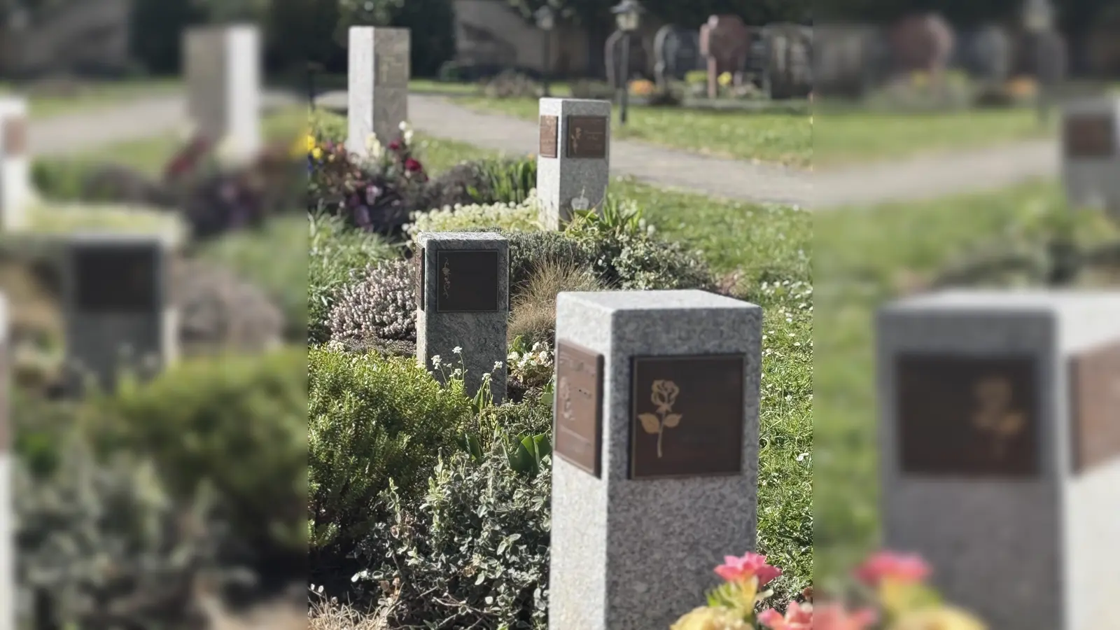 Der Obst-und Gartenbauverein Fürnried &amp; Umgebung pflegt das Urnengrabfeld am Friedhof Fürnried (Bild: Jochen Kellner-Bodendörfer)