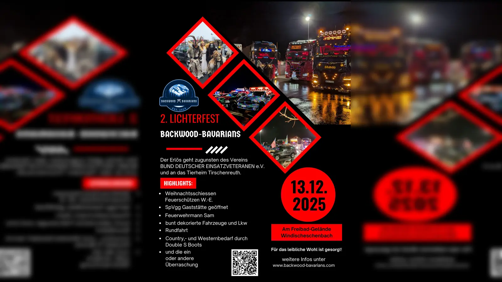 Flyer (Bild: Michael Rögner)