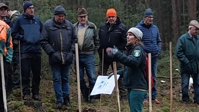 Försterin Silvia Pflug (Vorne) zeigte den Waldbesitzern, wie sie alte, vorgeschädigte Kiefernbestände Pflegen können. (Bild: Hubert Amode)