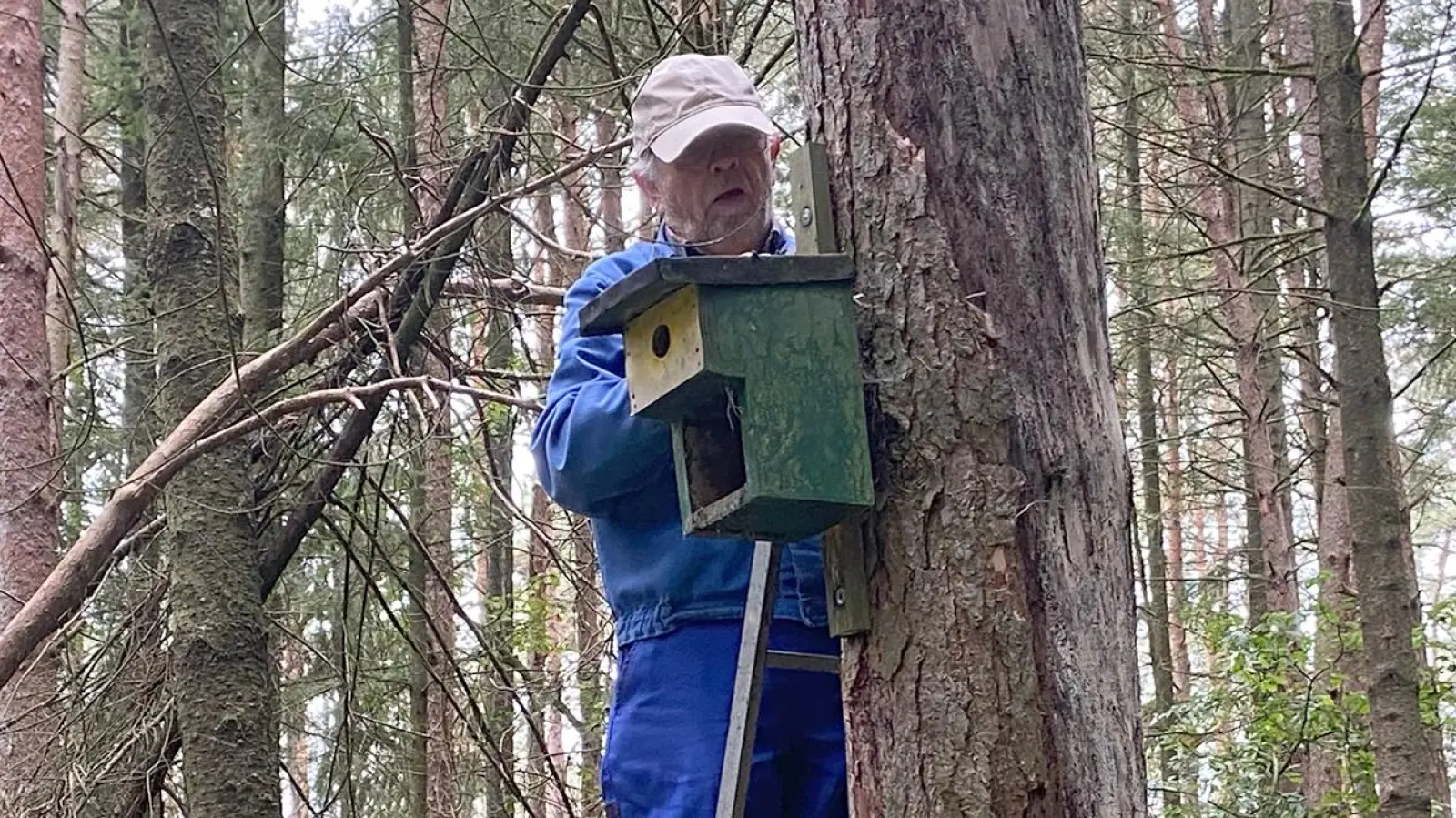 Bernhard Wiezorek, Vogelschutzwart des OWV Nabburg bei Wartungsarbeit. Seit über 40 Jahre betreut Bernhard Wiezorek die heimische Vogelwelt. (Bild: Hans Rachwalik)