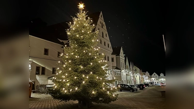 Der gespendete Christbaum am Platz vorm Landratsamt. (Bild: Ramona Herrmann)