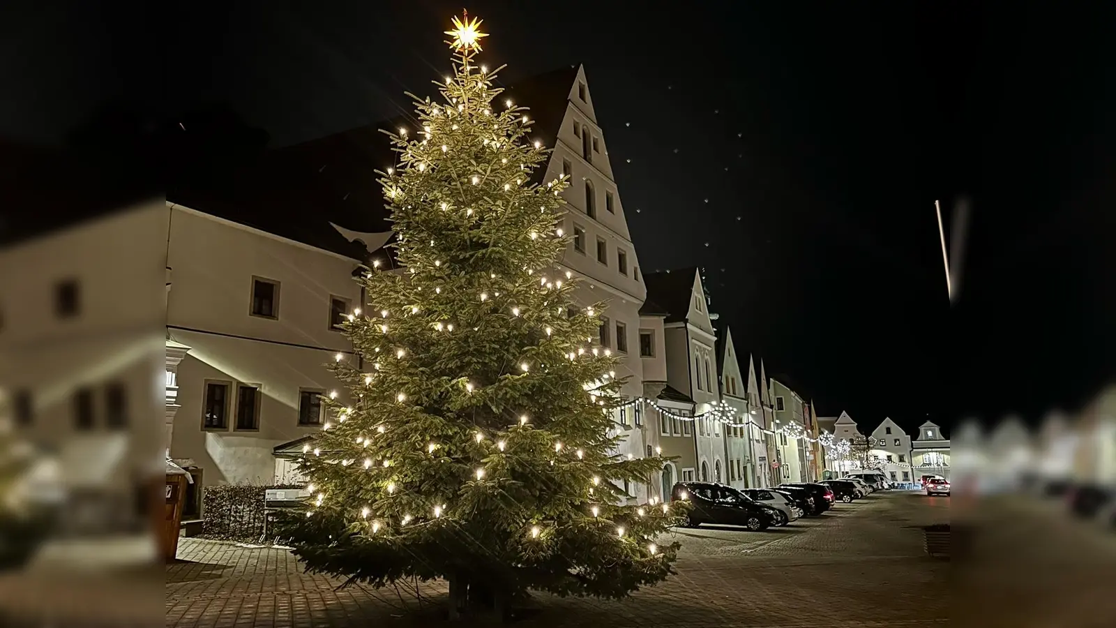 Der gespendete Christbaum am Platz vorm Landratsamt. (Bild: Ramona Herrmann)
