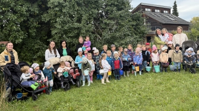 Mit großem Eifer waren die Kinder beim Pflücken der Pflaumen im Garten der Familie Würstl dabei. (Bild: Josef )
