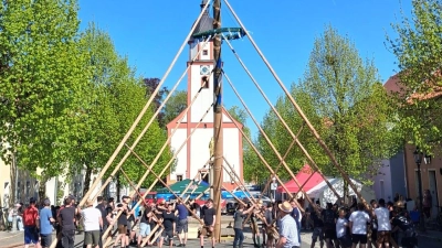 Mit langen Stangen, den Schwalben wurde die geschmückte Fichte in die Vertikale geschoben. (Bild: Annemarie Mösbauer)